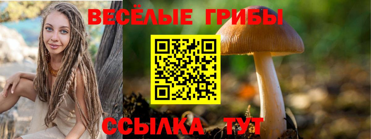 Псилоцибиновые грибы Psilocybe Анапа